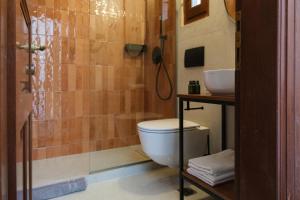达默查理Hideaway in Damouchari with private access to sea ANNA's HORIZON的带淋浴、卫生间和盥洗盆的浴室