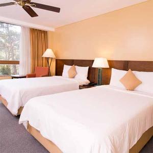 碧瑶A paradise nestled in the City of Pines, Camp John Hay Baguio City的酒店客房设有两张床和窗户。