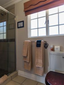 莫里维尔Old Rearsby的带淋浴和毛巾的墙壁浴室