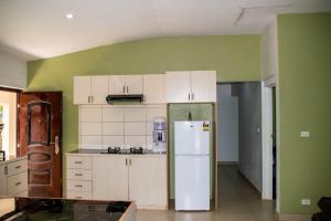 南迪Fijian Homestay - 3 bedroom house的厨房设有绿色的墙壁和白色的冰箱。