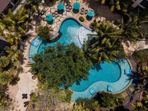 金巴兰金巴兰斯普林希尔皇家郁金香度假村的享有度假村游泳池的顶部景致