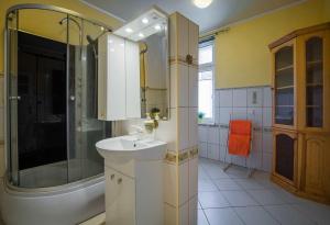 索波特Green Room Sopot的一间带水槽和淋浴的浴室