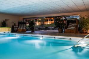 巴特维塞阿潘松尼酒店的游泳池,带椅子和植物的房间