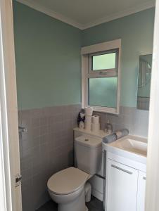 陶因Springside Chalet20的一间带卫生间和水槽的浴室