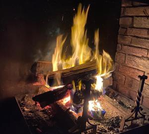 MaxentDomaine des Hayes的砖炉火大火,火烧