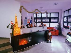 波亚纳布拉索夫Casa Verde Poiana Brasov的客厅设有壁炉和圣诞树
