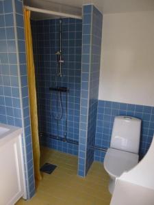 LjugarnKleines Ferienhaus - Tiny house - auf Gotland 700 Meter zum Meer的蓝色瓷砖浴室配有淋浴和卫生间。