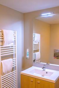 第戎第戎共和国广场阿达吉公寓式酒店的一间带水槽和镜子的浴室