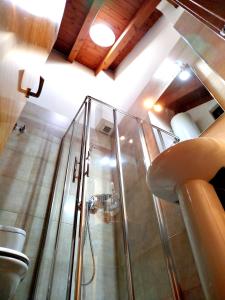 索特Apartaments Sort Pirineus的一间带卫生间的浴室内的玻璃淋浴间