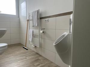 汉诺威SPLENDID I Unique Spacious Apartment的一间带小便室和卫生间的浴室