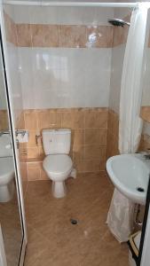 桑丹斯基Strumyani tiny flat的一间带卫生间和水槽的浴室