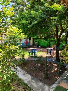 皮帕Pousada Carambola的树下花园,花园内有两张野餐桌
