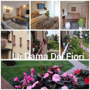 维梅尔卡泰La Dama dei Fiori的一张相册的达马拉德尔希公寓照片