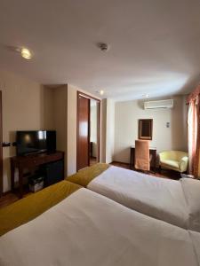 马拉加马拉加卡洛斯五世酒店的酒店客房设有一张大床和一台电视。