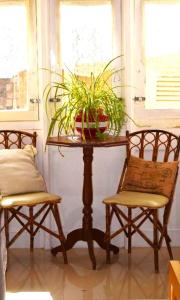 维多利亚Maria Townhouse Heart of Victoria B&B的一张桌子,上面有两把椅子和一株植物