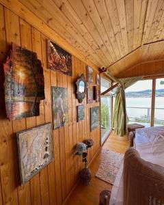 SviniţaDream Tricule的一间设有木墙的客房,墙上挂着照片