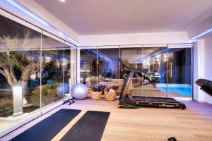 阿克罗蒂里La Ponta Villas & Suites的一间设有跑步机和玻璃墙的健身房的客房