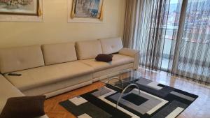 米特罗维察Mbretersha Teuta的带沙发和大窗户的客厅