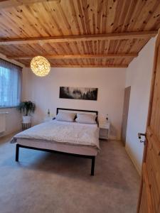 伦斯泰格地区施米德费尔德Ferienwohnung am Eisenberg的一间卧室设有一张床和木制天花板