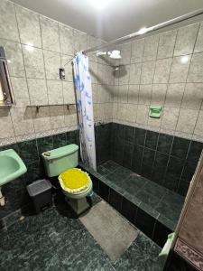 利马Sumaq Wasi Caminos Del Inca的一间带绿色卫生间和淋浴的浴室