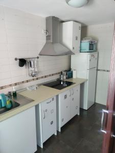 瓜达拉哈拉Apartamento Turistico Dct. Creus的白色的厨房配有水槽和冰箱