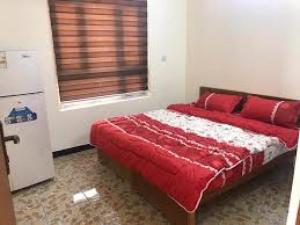 安曼LH HOUSE的一间卧室配有一张带红色枕头的床和一扇窗户