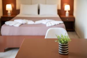 卡拉马基索非亚公寓酒店的一间酒店客房,配有一张床铺和一张植物桌子