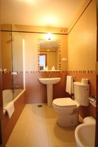 圣胡安德尔普埃尔托尼扎旅馆的一间带卫生间、水槽和镜子的浴室