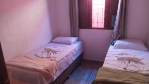 大坎普Hostel Pantanal Experience - Pantanal n' Bonito Tours的带窗户的客房内设有两张单人床。