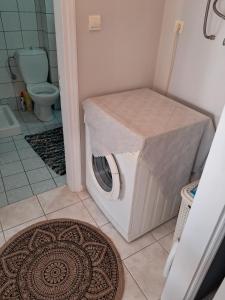Palio LimaniM home place的一间带卫生间的浴室内的洗衣机
