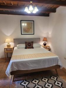 危地马拉安地瓜2 Pilas: historic colonial house的一间卧室配有一张大床,配有两盏灯和地毯