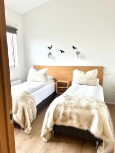 霍芬鲁尼亚公寓的卧室设有2张床和白色的墙壁。