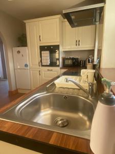 特拉利Kilmore Beach Apartment的厨房配有不锈钢水槽和白色橱柜