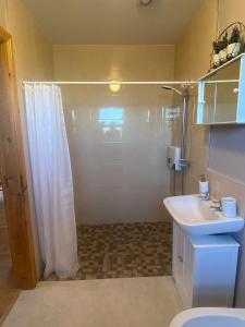 特拉利Kilmore Beach Apartment的浴室配有淋浴帘和盥洗盆。
