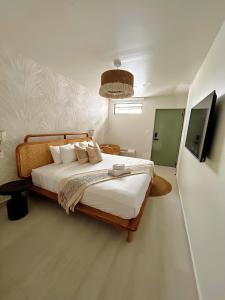 圣胡安Bali Poshtel PR的一间带大床和电视的卧室