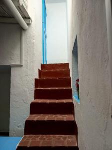 波哥大Casa-Arbol的大楼内有窗户的楼梯