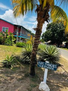 霍普金斯Los Mangoes的一条街道旁棕榈树前的标志