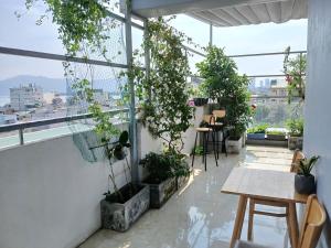 岘港Duc Hanh Apartment的阳台配有桌子和盆栽植物