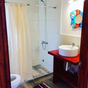 拉帕洛马Posada Agua Marina的带淋浴、盥洗盆和卫生间的浴室