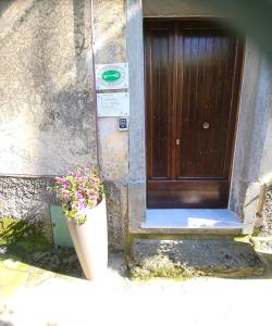 克里日亚AMARE IL MARE Affittacamere的前面有盆栽植物的建筑物的门