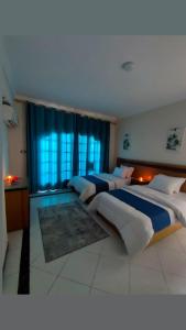 亚历山大阿贾米酒店武装部队公寓 的一间设有两张床和窗户的大卧室