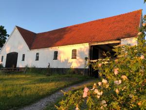 博雷Camønogaarden et B&B, kursus center og refugie på Østmøn的红色屋顶的白色谷仓