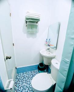 塔比拉兰Charming Duplex Apartment的一间带卫生间、水槽和镜子的浴室