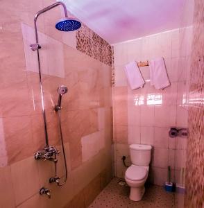KisoroMianzi Guest House的带淋浴和卫生间的浴室。