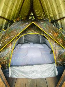 RangalaSeattle Knuckles的帐篷内有一张床