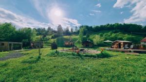 BăniţaRai Village的天空中一片阳光灿烂的草地