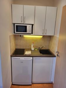 巴拉顿菲赖德Tip-Top Apartmenthouse的厨房配有水槽和微波炉