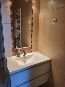 巴拉顿菲赖德Tip-Top Apartmenthouse的一间带水槽和镜子的浴室