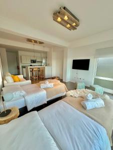 乌斯怀亚Turek Residences的酒店客房设有三张床和电视。