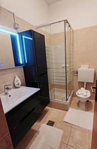 图兰杰Apartments and pansion M&R的带淋浴、盥洗盆和卫生间的浴室